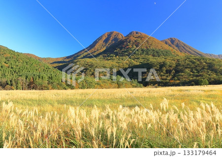 【大分県】長者原園地から見たタデ原湿原と九重連山の紅葉 【大分県】長者原園地から見たタデ原湿原と九重連山の紅葉 133179464