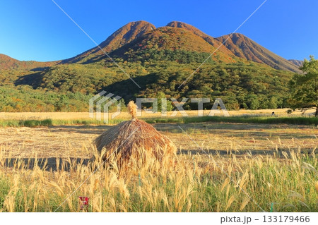 【大分県】長者原園地から見たタデ原湿原と九重連山の紅葉 133179466