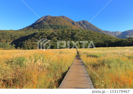 【大分県】長者原園地から見たタデ原湿原と九重連山の紅葉 【大分県】長者原園地から見たタデ原湿原と九重連山の紅葉 133179467