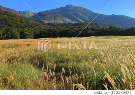 【大分県】長者原園地から見たタデ原湿原と九重連山の紅葉 133179473