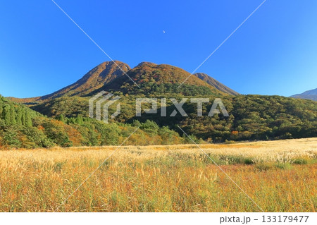 【大分県】長者原園地から見たタデ原湿原と九重連山の紅葉 133179477