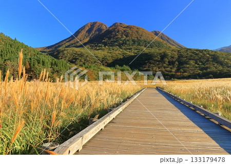 【大分県】長者原園地から見たタデ原湿原と九重連山の紅葉 133179478