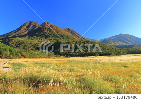 【大分県】長者原園地から見たタデ原湿原と九重連山の紅葉 133179480