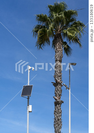 Smart Traffic Camera Mast Beside Palm Tree in South European Cityscape Smart Traffic Camera Mast Beside Palm Tree in South European Cityscape 133180619
