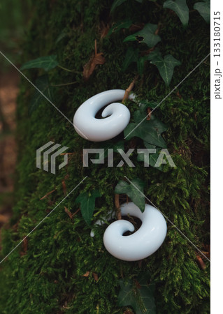 Two white earrings are on a mossy green tree 133180715