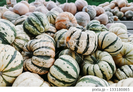 Pile of pumpkins with stripes and spots 133180865