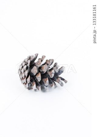 Pine cone on white background symbolizing winter holidays and festive season decorations 133181161