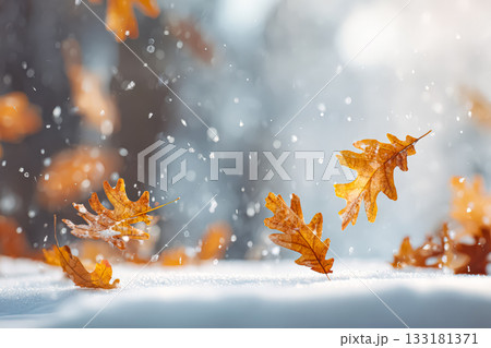 Autumn leaves falling gently on a snowy ground creating a serene winter landscape 133181371