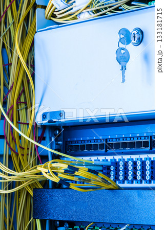fiber optic cables connected into main data switch fiber optic cables connected into main data switch 133181715