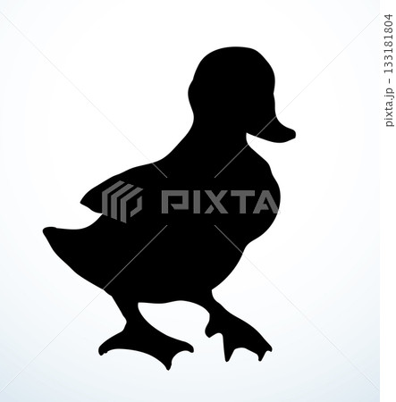 Cute duckling. Vector outline drawing 133181804