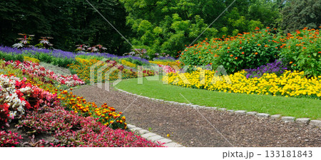 Winding Path Through a Lush, Vibrant Summer Flower Bed Garden 133181843