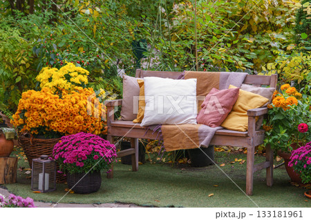 Wooden garden bench with pillows among autumn flowers and colorful foliage in fall backyard 133181961