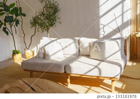 Modern minimalist interior of living room with beige sofa, house plants in natural sunlight Modern minimalist interior of living room with beige sofa, house plants in natural sunlight 133181978