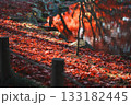 庭園の秋の紅葉の落ち葉 133182445
