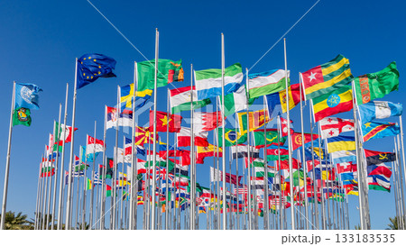 Dozens of national flags from different countries waving in wind, including European Union, Zambia, Sierra Leone, Moldova, North Macedonia, Bahrain, Turkmenistan, Ethiopia, Georgia, Ukraine, Sweden Dozens of national flags from different countries waving in wind, including European Union, Zambia, Sierra Leone, Moldova, North Macedonia, Bahrain, Turkmenistan, Ethiopia, Georgia, Ukraine, Sweden 133183535