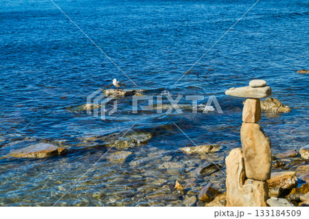 A seagull rests on rocks near the coastline, a funny stone figure on the beach, a bright sunny day poster about ecosystems and a background for the interior about nature and the sea A seagull rests on rocks near the coastline, a funny stone figure on the beach, a bright sunny day poster about ecosystems and a background for the interior about nature and the sea 133184509