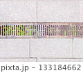 An urban gutter grate with small green plants nestled between the stones on the sidewalk. 133184662