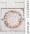 A manhole cover with a floral pattern on a city sidewalk, surrounded by gray stones and autumn leaves. 133184663