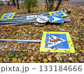 Road signs lie on the ground covered with autumn leaves. 133184666