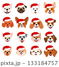 サンタの帽子をかぶった笑顔の小型犬の顔のセット 133184757
