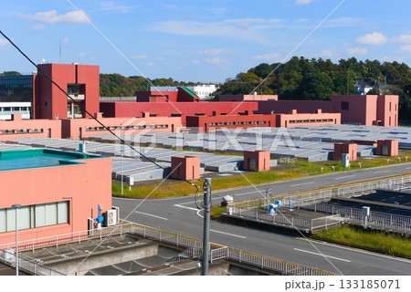 千葉県流山市北千葉浄水場周辺2025年11月撮影 千葉県流山市北千葉浄水場周辺2025年11月撮影 133185071