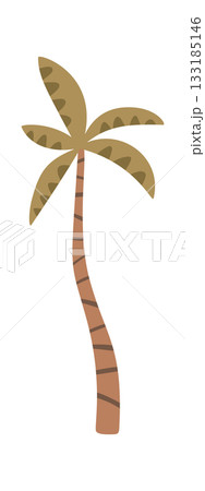 Palm tree of Jurassic period 133185146
