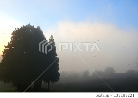 雲海・ドラマチックな輝きの世界 133185221