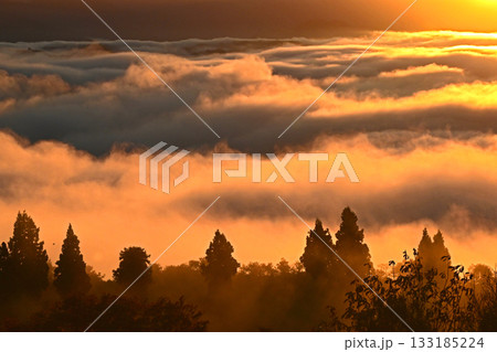 雲海・ドラマチックな輝きの世界 雲海・ドラマチックな輝きの世界 133185224