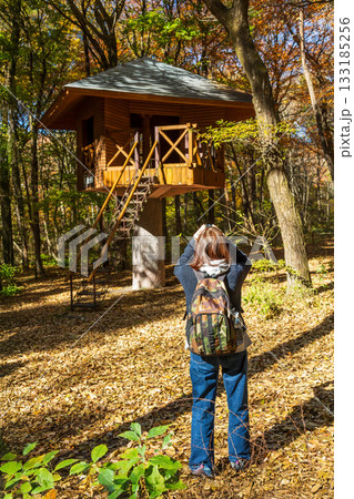 秋の赤城自然園　樹上小屋を撮影する女性 133185256