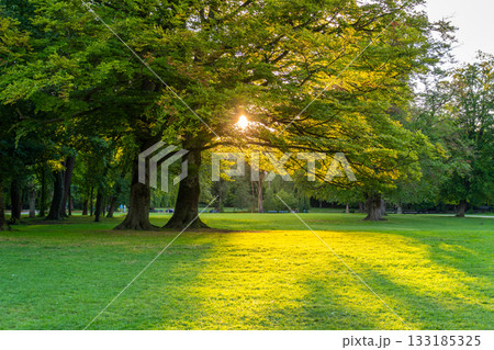 Englischer Garten Public Park. Munich, Bavaria, Germany Englischer Garten Public Park. Munich, Bavaria, Germany 133185325