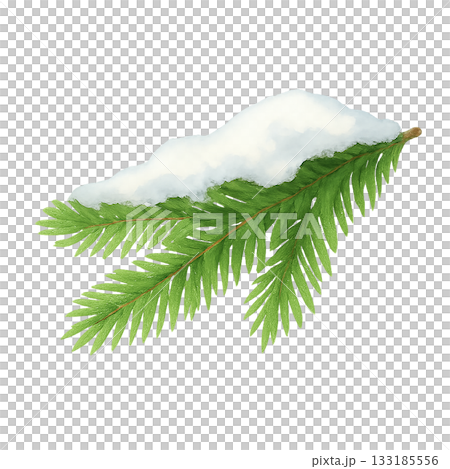 雪の積もったモミの枝　冬の水彩イラスト素材 133185556