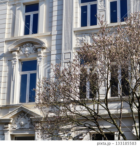 A white neo-classical building facade with detailed stucco work in a European city Antwerp, Belgium. Architecture, typical of neighborhoods Zurenborg. 133185583