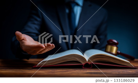 法律の解釈と支援を象徴するジェスチャーと法典の構図 133186029