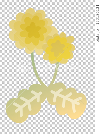 簡單的蒲公英 133186131