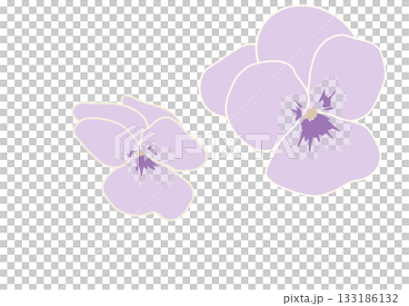 簡單的紫羅蘭花插圖素材 133186132
