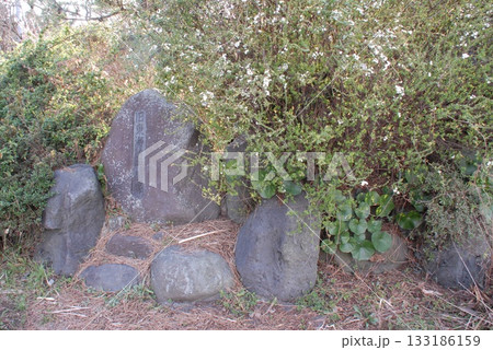 「沼津新田一里塚」を示す「旧東海道一里塚」の石碑(静岡県富士市) 「沼津新田一里塚」を示す「旧東海道一里塚」の石碑(静岡県富士市) 133186159