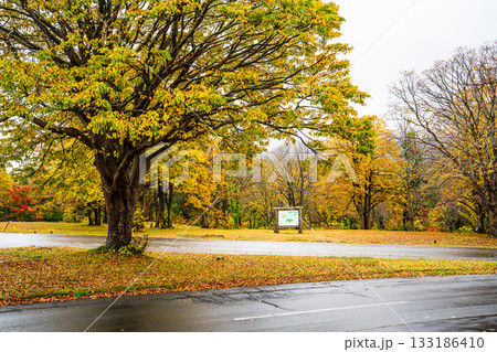 萱野高原の紅葉【青森県青森市】 133186410