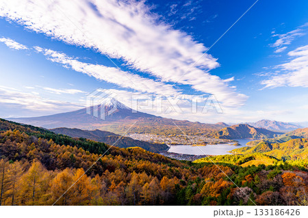 【山梨県】ダイナミックな雲、カラマツの黄葉の向こうに富士山 133186426