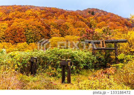 酸ヶ湯の紅葉【青森県青森市】 133186472