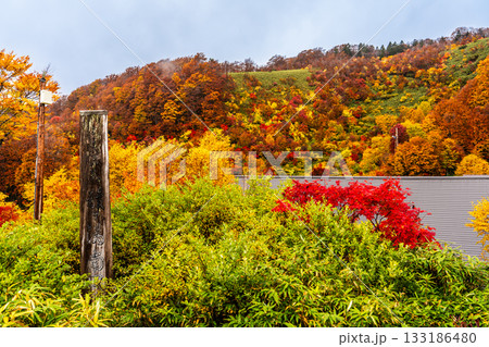 酸ヶ湯の紅葉【青森県青森市】 133186480