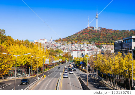 秋のソウル　南山タワーと緑莎坪大路　※一部ソフトフォーカス 133186795