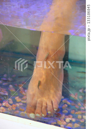 Massage with small fishes. Peeling with fish. Girl enjoying medicinal procedure 133186845