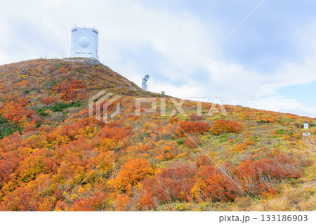 秋の釜臥山 青森県むつ市 秋の釜臥山 青森県むつ市 133186903
