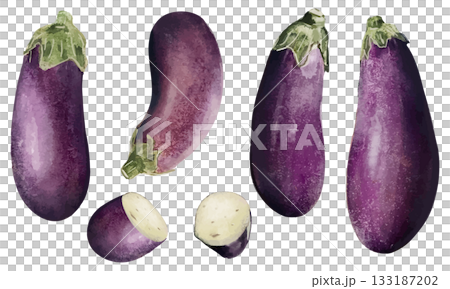Eggplant painted in watercolor Eggplant painted in watercolor 133187202