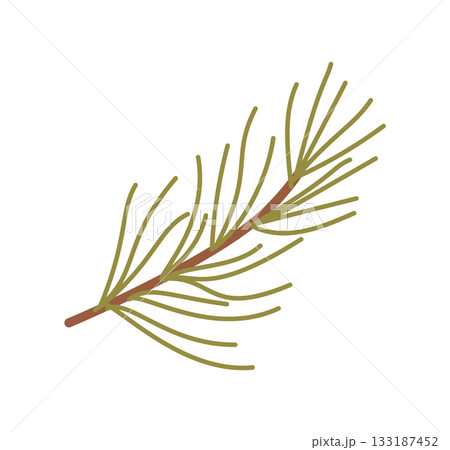 Flat kraft pine branch decor in green forms the holiday focus. Christmas nature element and xmas plant symbol, seasonal graphic for winter box and gift inspired themes. Flat kraft pine branch decor in green forms the holiday focus. Christmas nature element and xmas plant symbol, seasonal graphic for winter box and gift inspired themes. 133187452