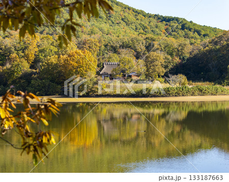 秋の風景　水辺に建つ茅葺き屋根の古民家 133187663