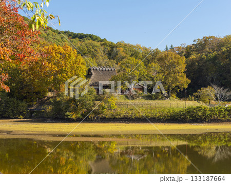 秋の風景 水辺に建つ茅葺き屋根の古民家 秋の風景 水辺に建つ茅葺き屋根の古民家 133187664