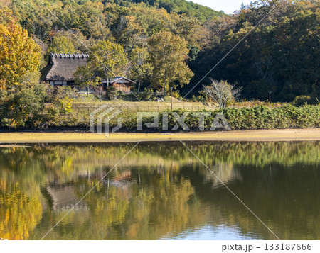 秋の風景 水辺に建つ茅葺き屋根の古民家 秋の風景 水辺に建つ茅葺き屋根の古民家 133187666