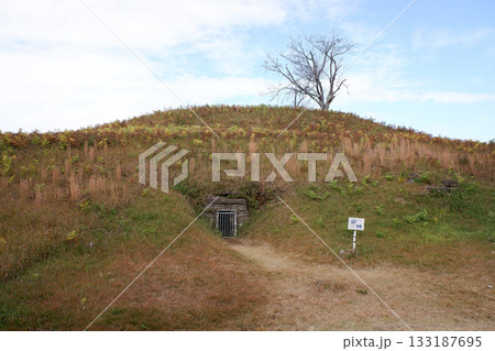 千葉県　龍角寺古墳群・岩屋古墳西石室 133187695