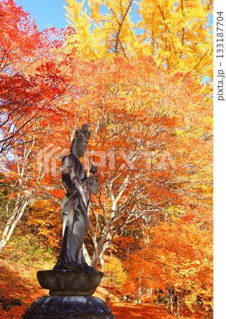 信濃大町の古刹 霊松寺の秋 信濃大町の古刹 霊松寺の秋 133187704